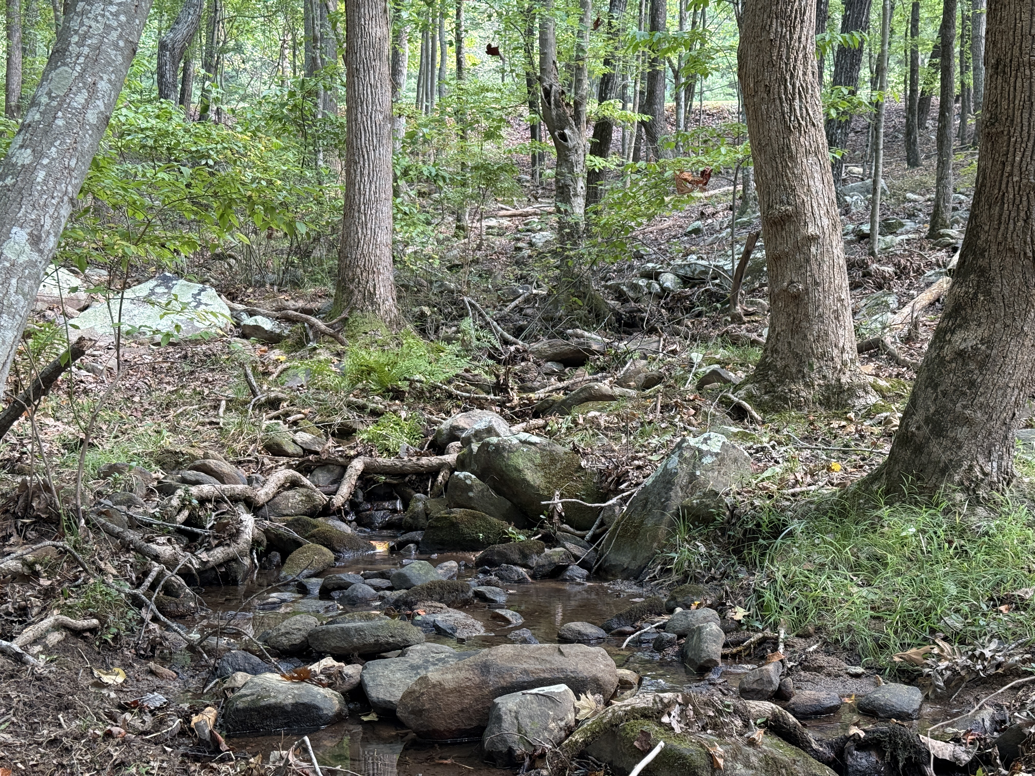 LOT321Stream4